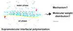 In-Depth Analysis of Supramolecular Interfacial Polymerization via a Computer Simulation Strategy