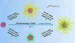 One-pot strategy for the preparation of nanoparticles grafted with bimodal polymers: An in-silico insight